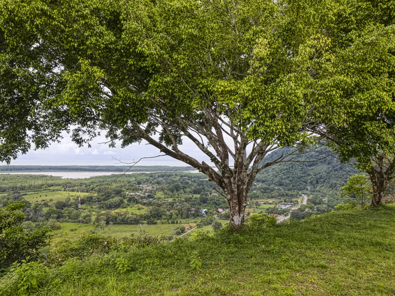 Land For Sale in Ojochal