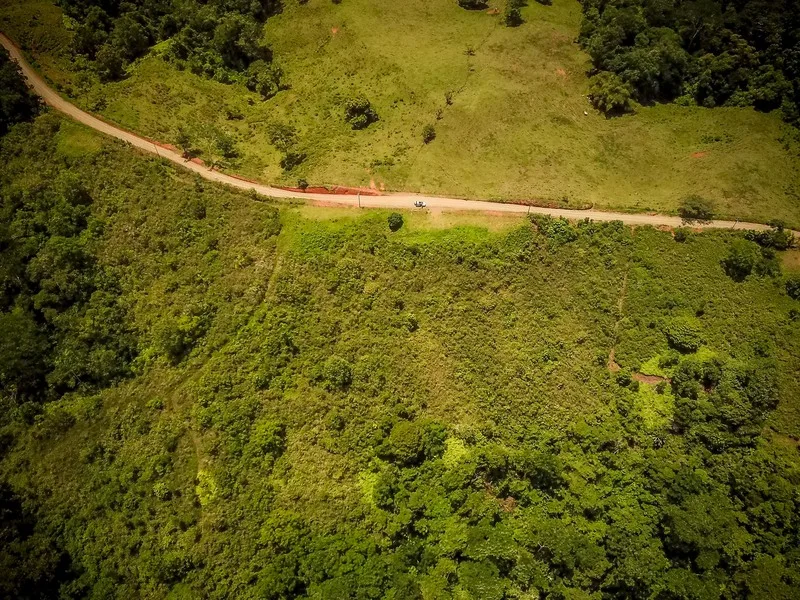 Land For Sale in Sierpe