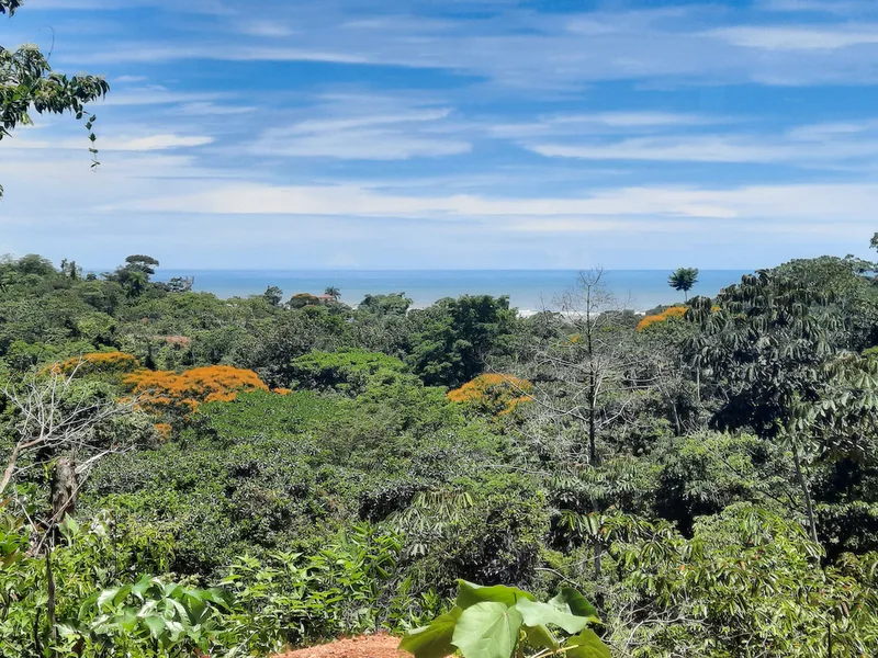 Land For Sale in Ojochal