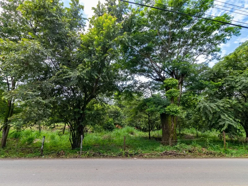 Land For Sale in Nosara