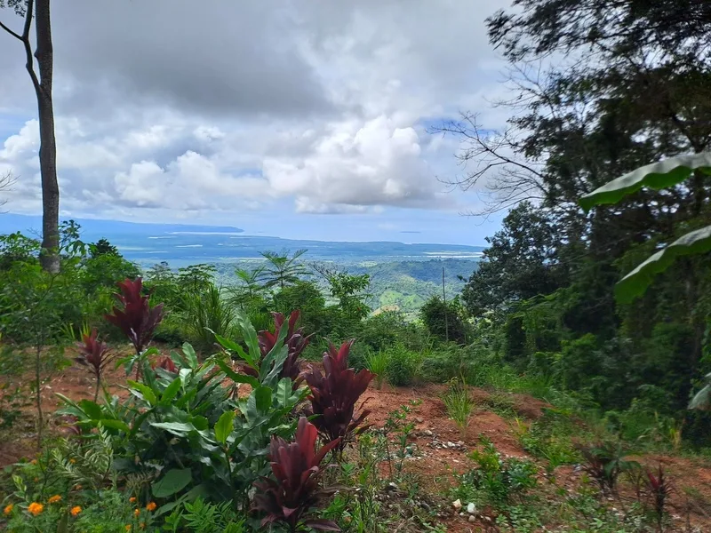 Land For Sale in Ciudad Cortes