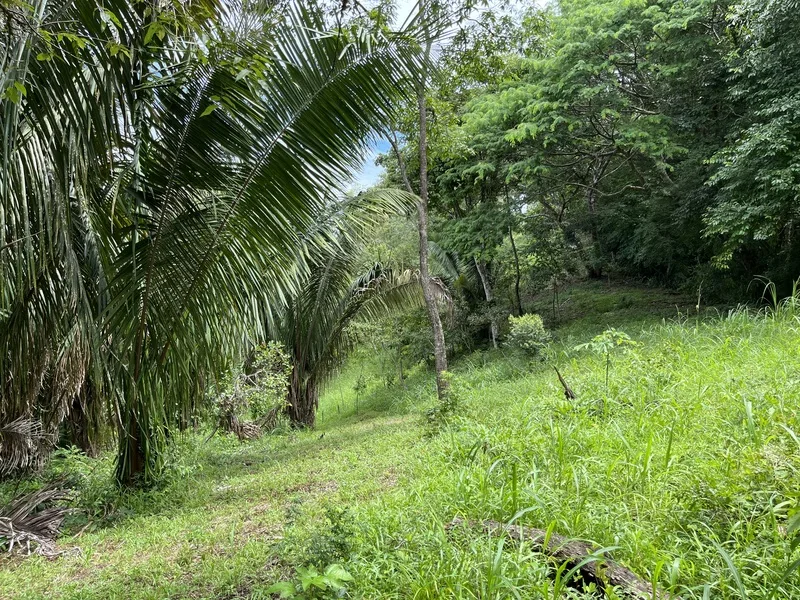 Land For Sale in Samara