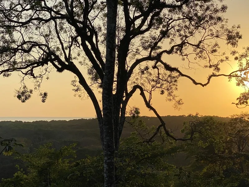Land For Sale in Nosara
