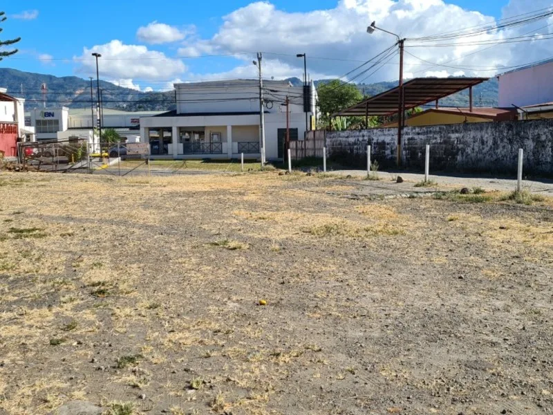 Land For Sale in Desamparados