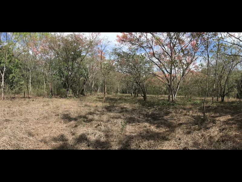 Land For Sale in Samara