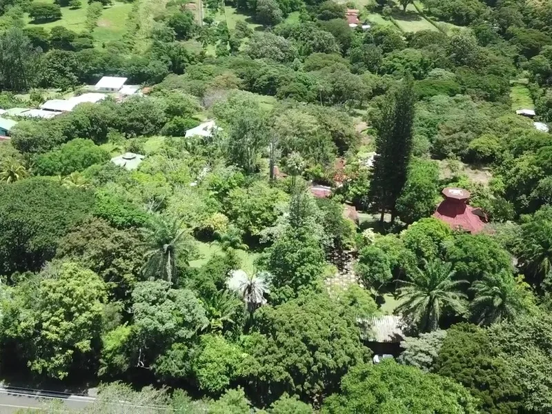 Land For Sale in La Garita — photo 5