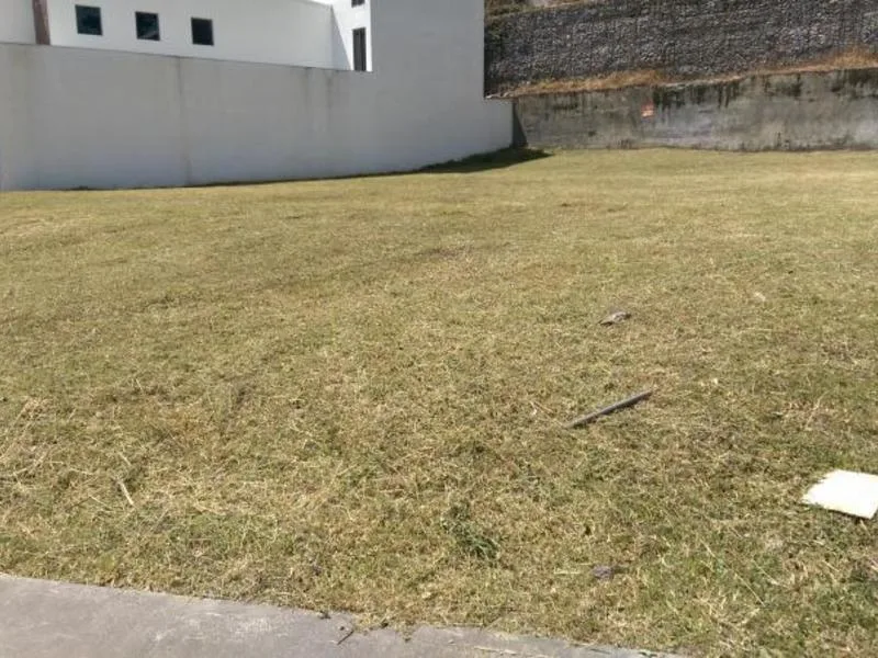 Land For Sale in Montes de Oca — photo 4