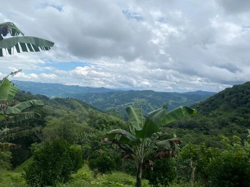 Land For Sale in San Jose — photo 2