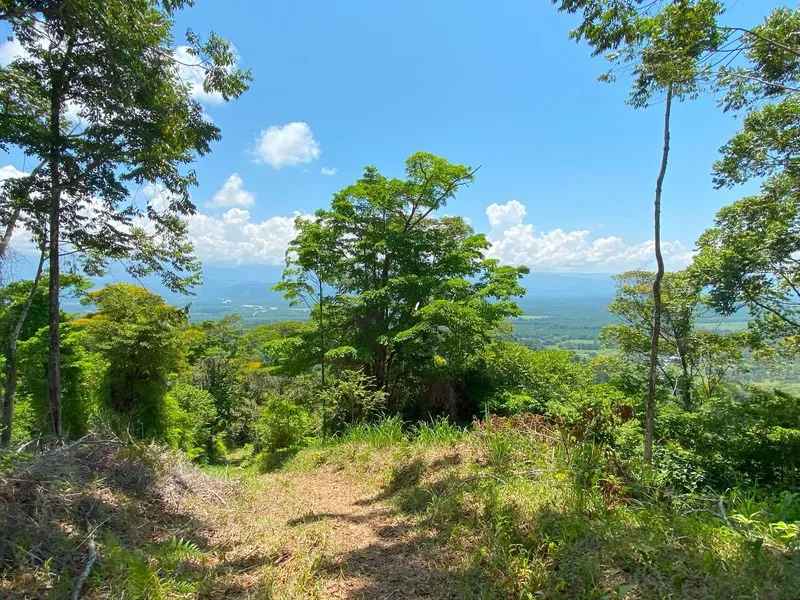 Land For Sale in Golfito