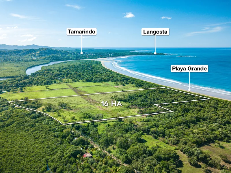 Land For Sale in Playa Grande
