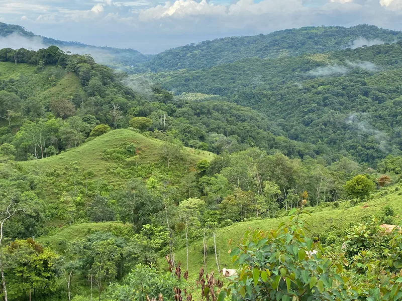 Land For Sale in Dominical