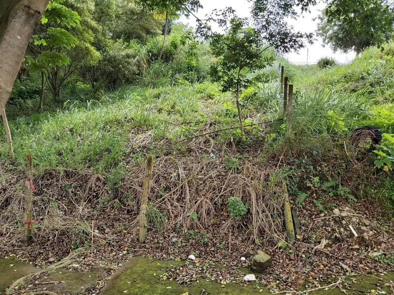 Land For Sale in Curridabat