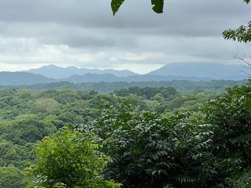 Land For Sale in Santiago