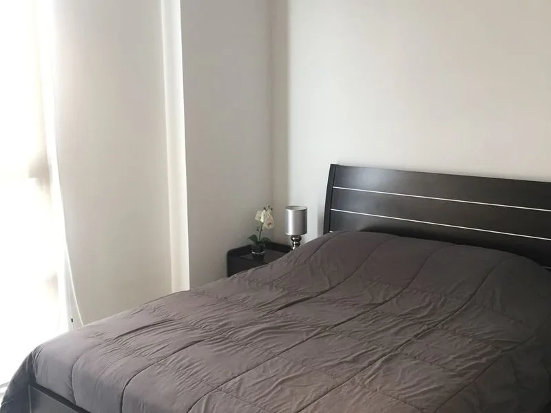 1 Bed Condo To Rent in San Jose