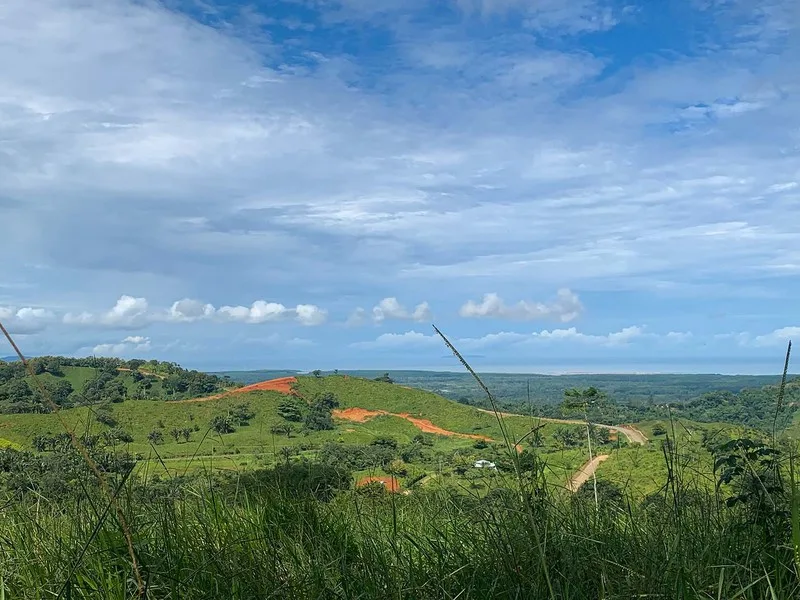 Land For Sale in Ojochal