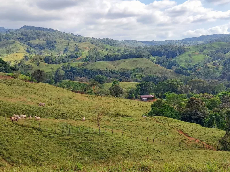 Land For Sale in Dominical