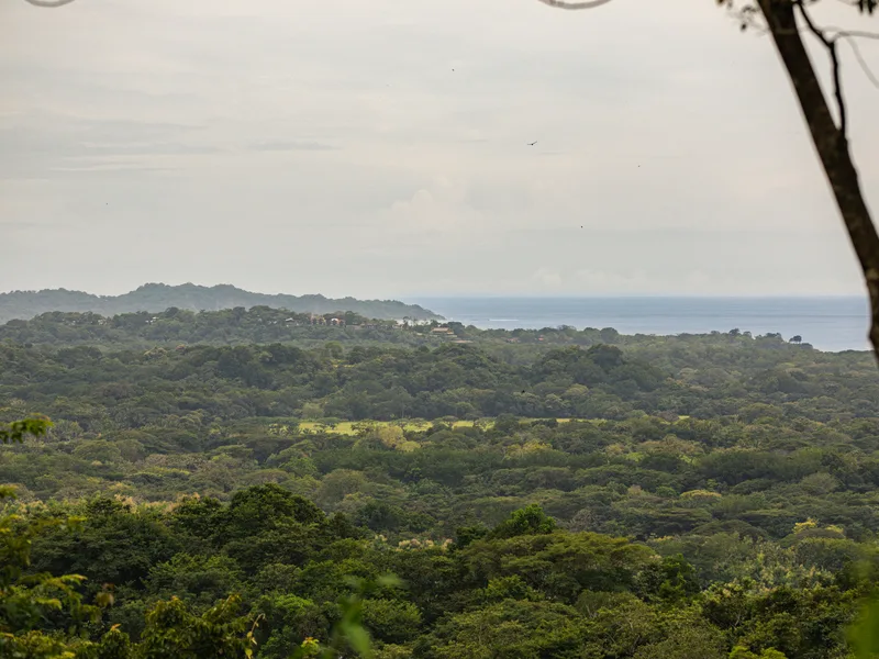 Land For Sale in Ostional