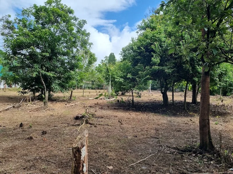 4 Bed Land For Sale in Uvita