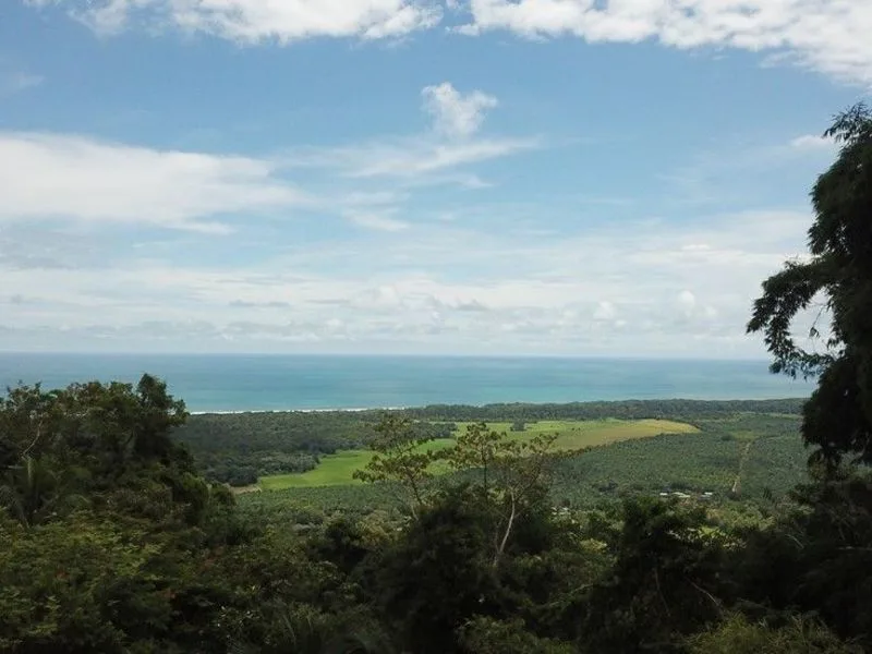 1 Bed Single Family Homes For Sale in Matapalo