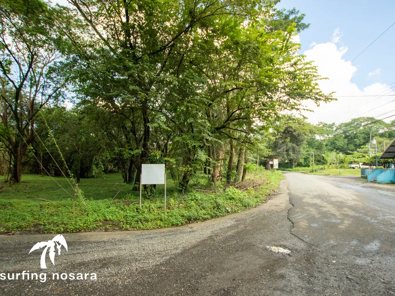 Land For Sale in Nosara