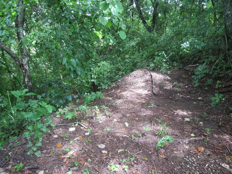 Land For Sale in Ostional
