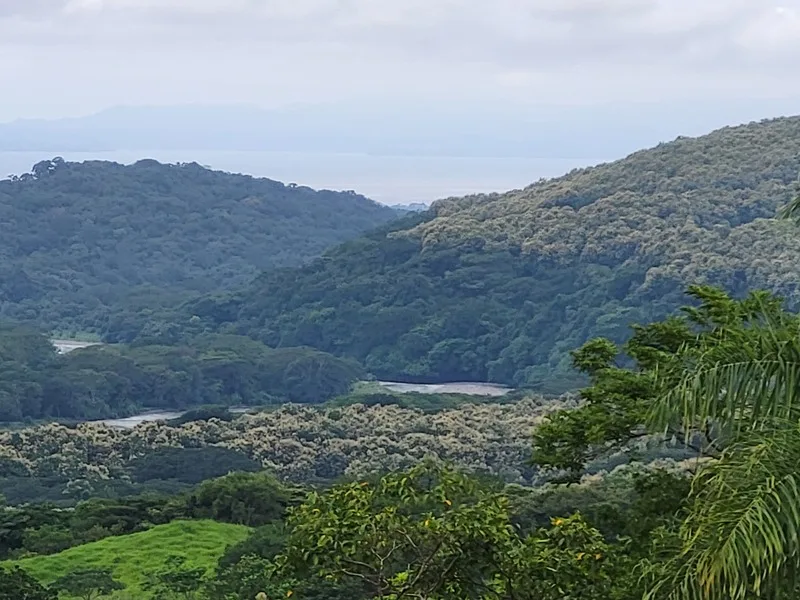 3 Bed Land For Sale in Esparza
