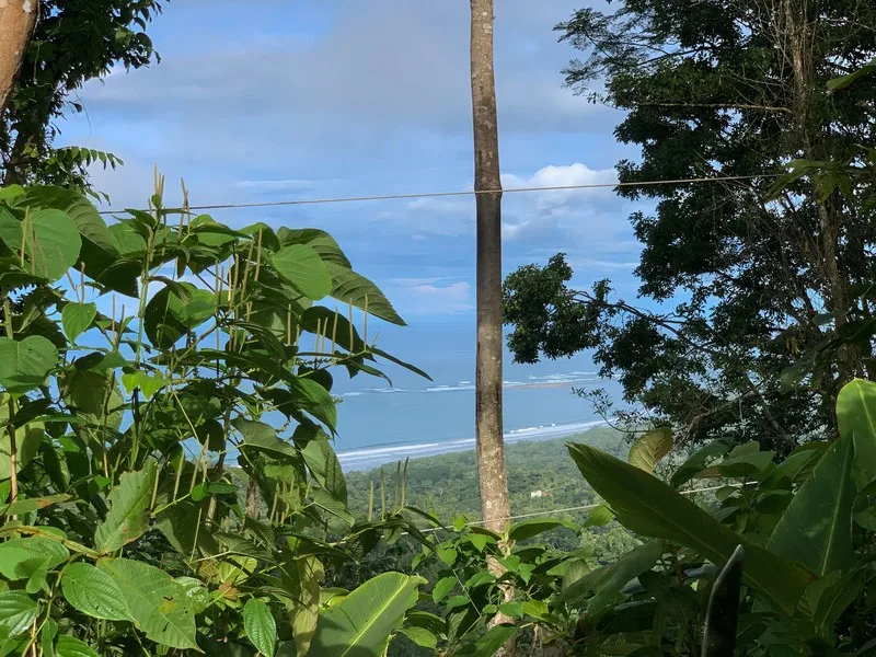 Land For Sale in Uvita