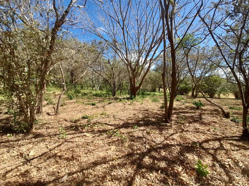 Land For Sale in Tamarindo