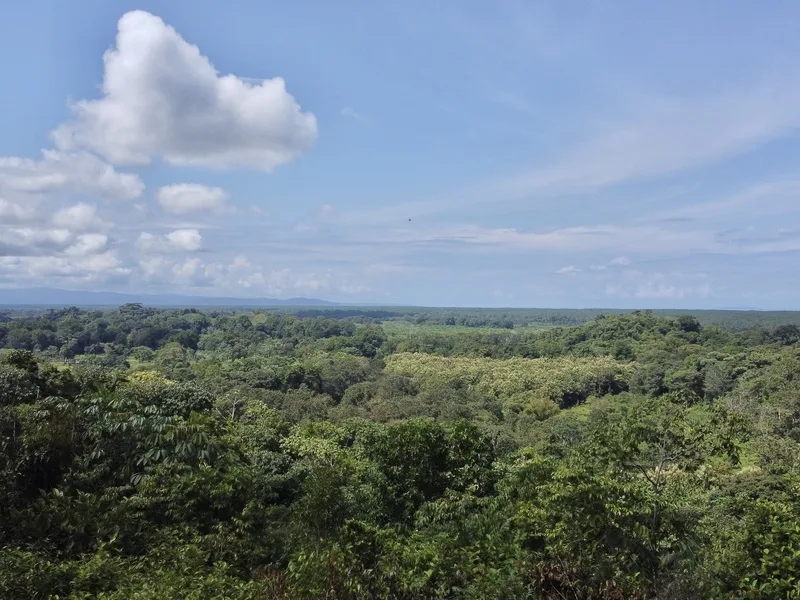 Land For Sale in Ojochal