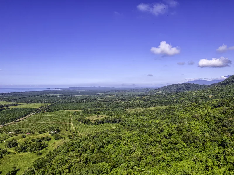 Land For Sale in Dominical