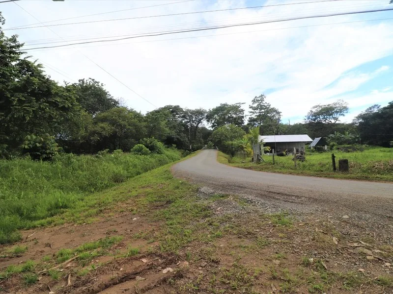 Land For Sale in Uvita