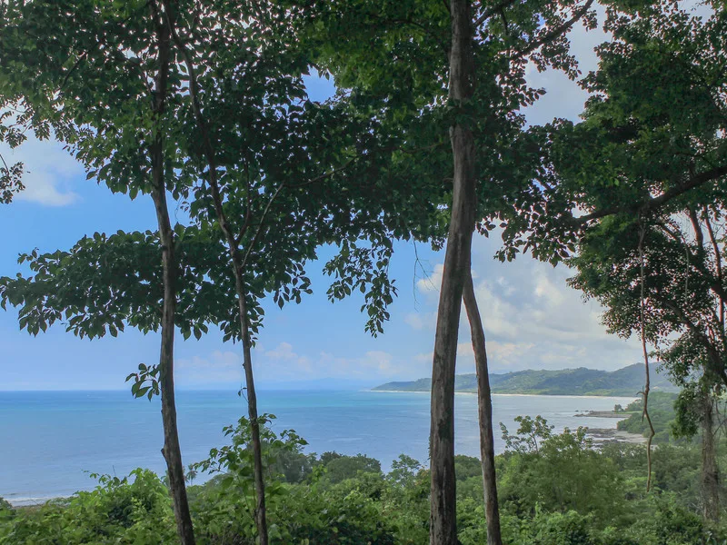 Land For Sale in Malpais