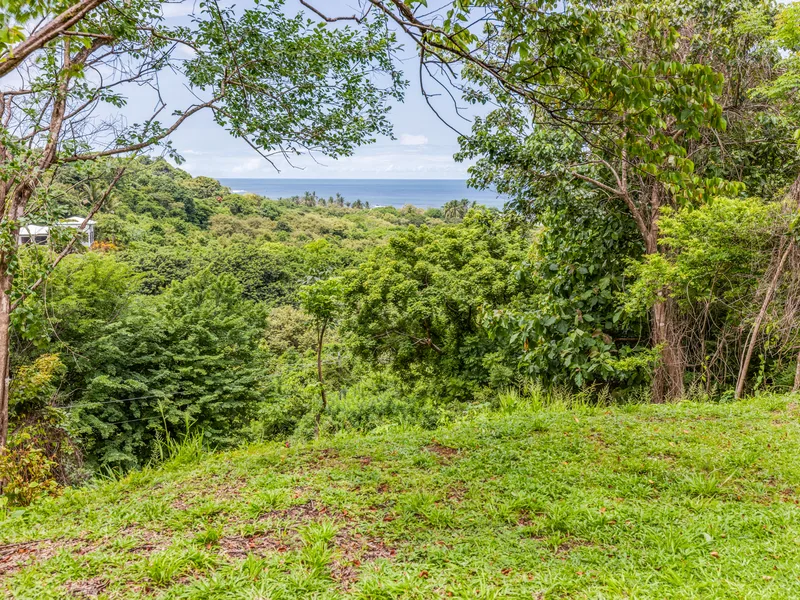 Land For Sale in Ostional