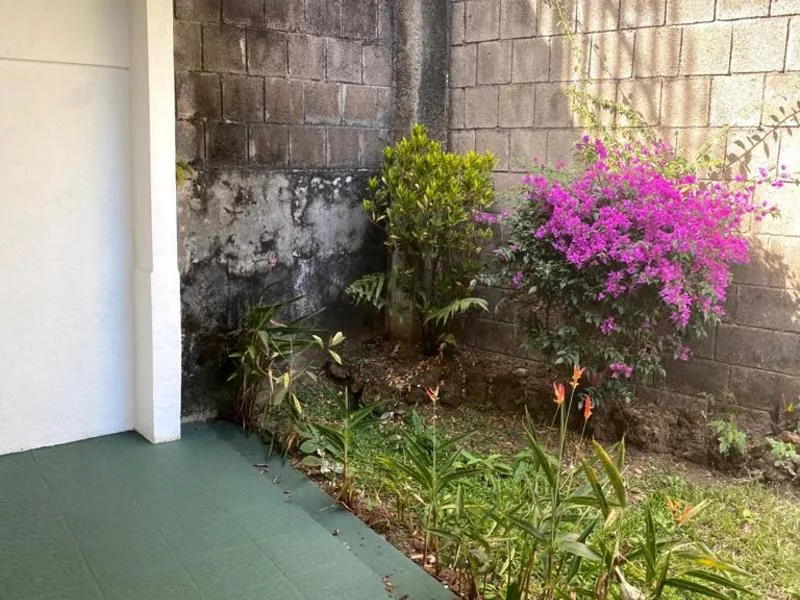 8 Bed Commercial For Sale in San Pedro — photo 5