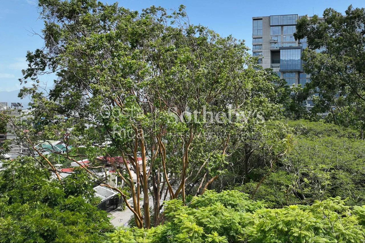 Parque del Café Tree Tops Serenidad — photo 5