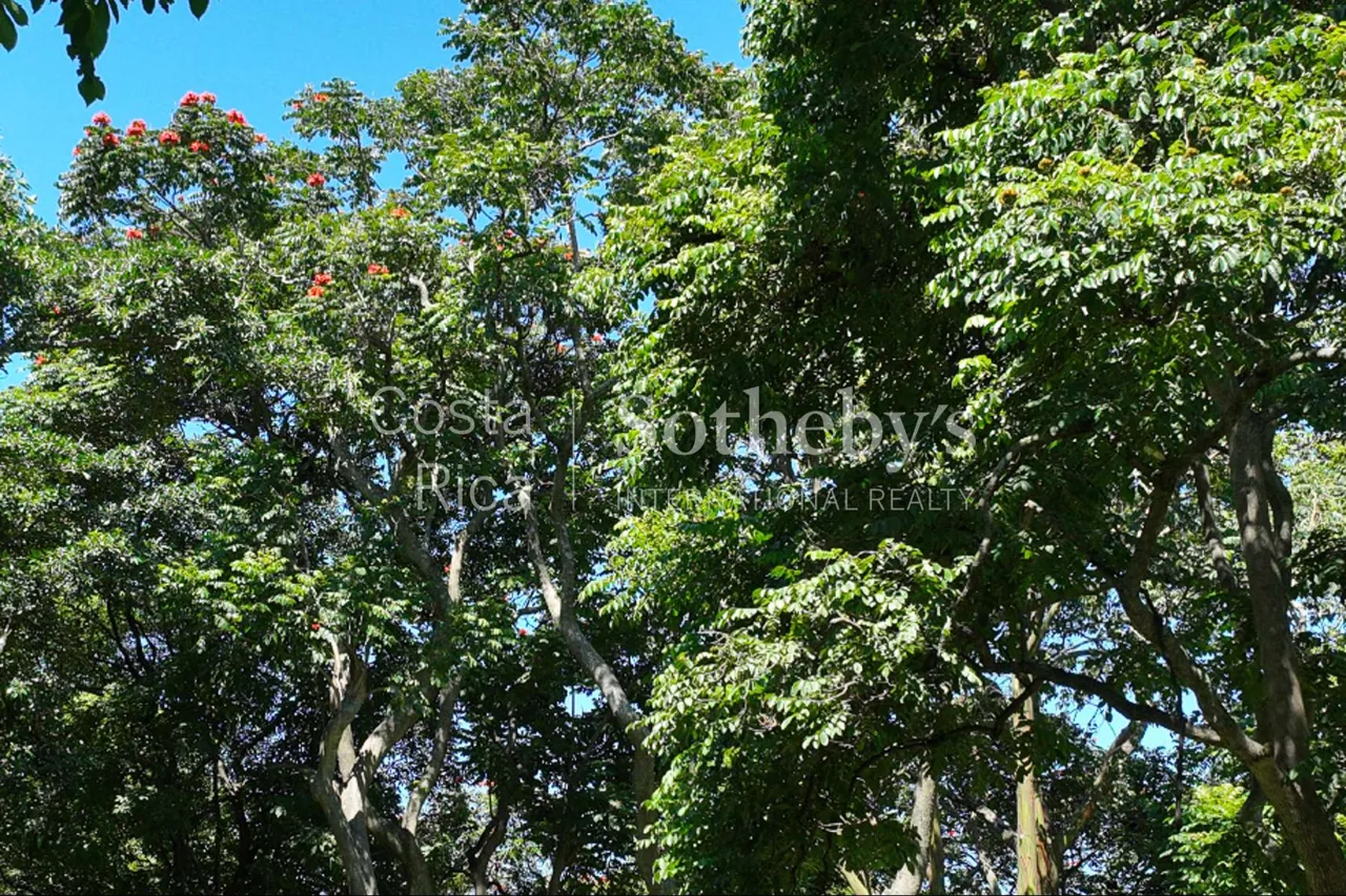 Parque del Café Tree Tops Armonía — photo 4