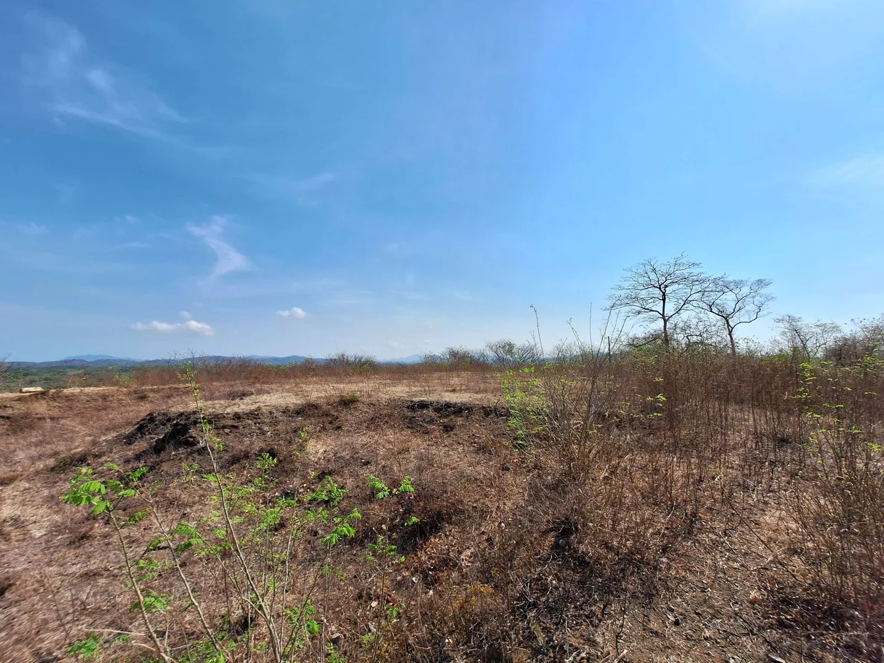 Pinilla 2HA Development Property