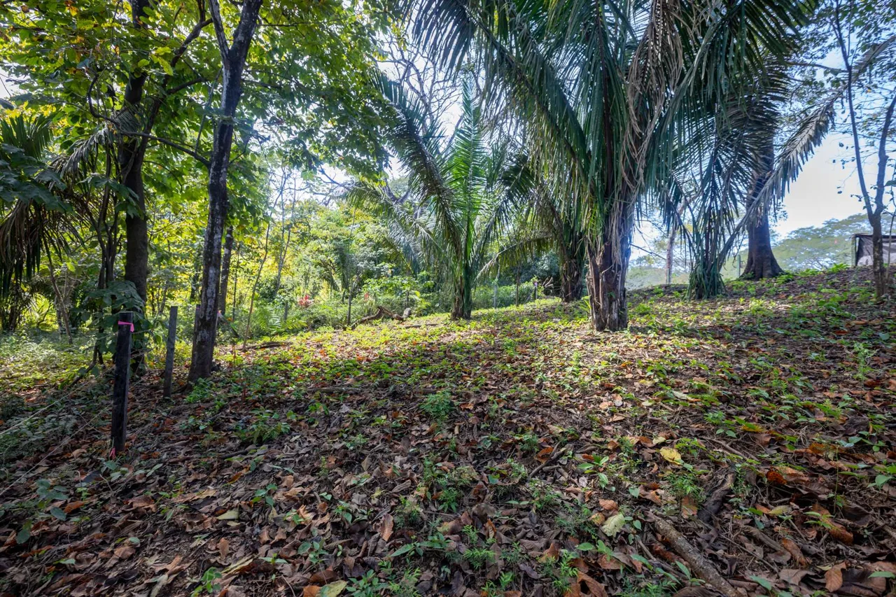 Don’t Miss Your Chance! Playa Pelada $150,000
