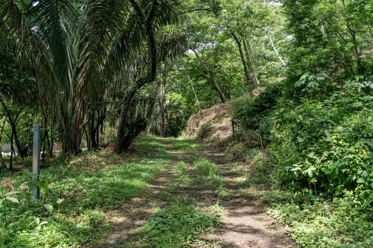 Playa Pelada Large Property