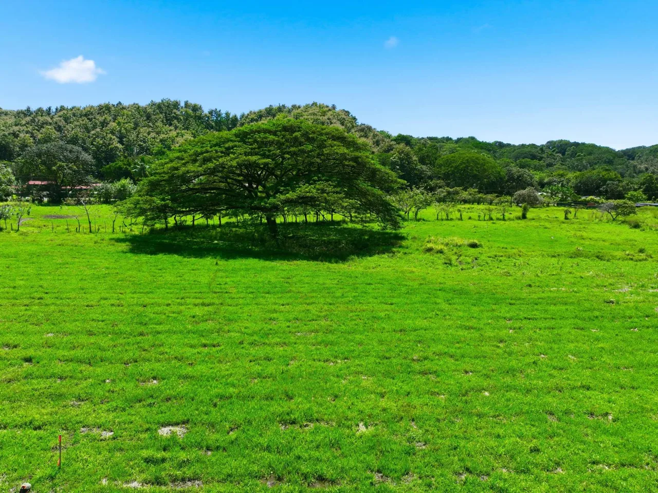 Finca Cacao