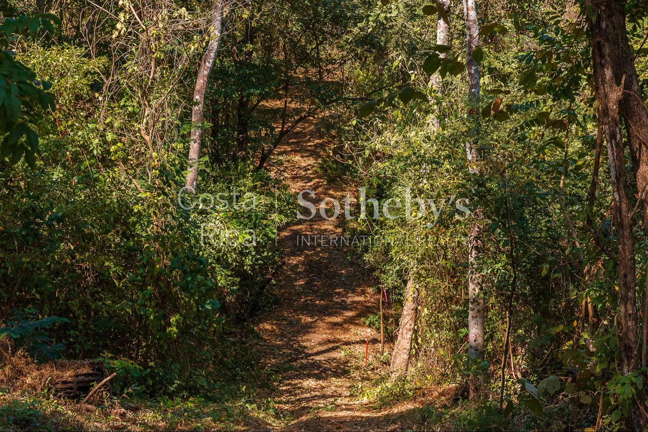 Luxury Residential Lot, photo 5